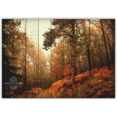 Картины Природа - Осенний лес, Природа, Creative Wood